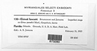Elsinoe fawcettii image